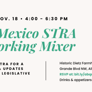 NMSTRA Networking Mixer