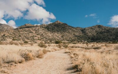 NMSTRA Candidate Grades – 2026 County Elections